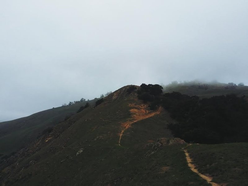 Prewitt Ridge singletrack