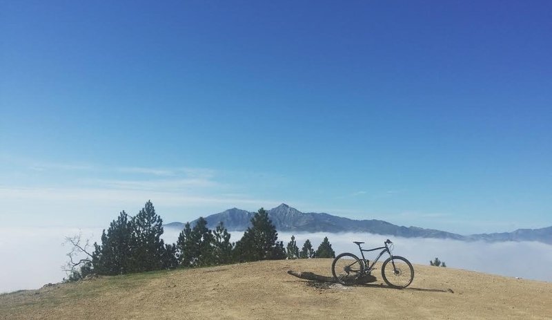 Above the clouds at the Prewitt ridge summit