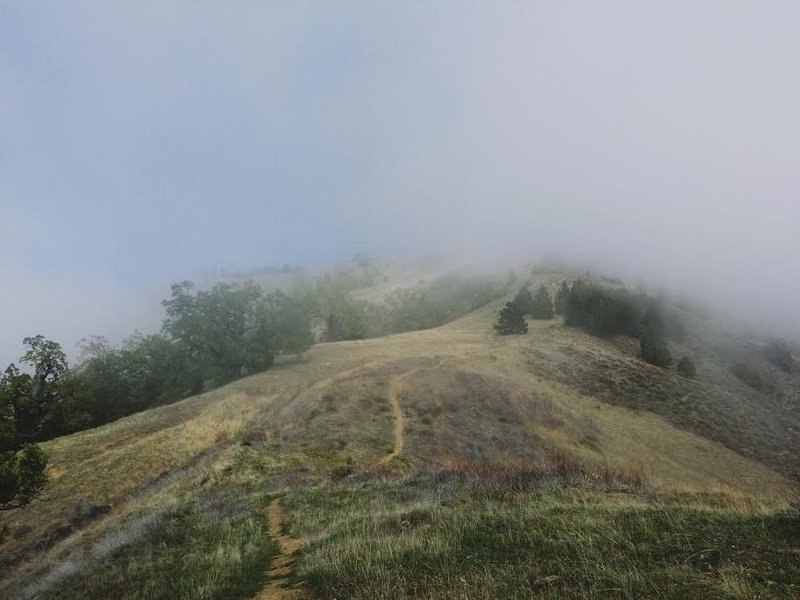 Fog breaking up towards the summit