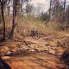 First creek crossing, the boulders and tree roots make for a challenging and narrow line to pick.  Creek may be deeper and impassable after a hard rain, use caution.