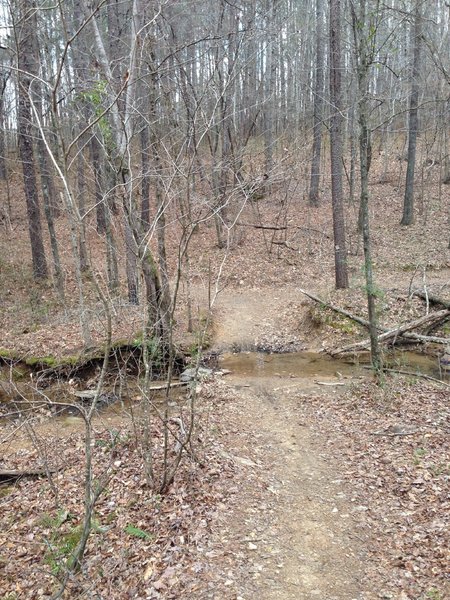 This is a view look at the third creek crossing.  On the other side if you continue to the right is the yellow trail.  If you take a left you'll be starting the moonshine ridge trail and from that point you'll have a short and steep climb.