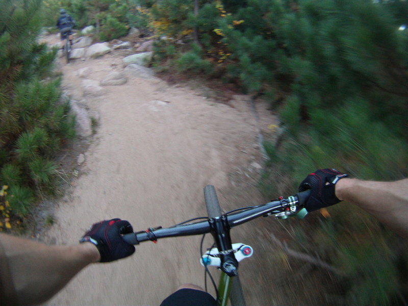 Starting climb up rockgarden section between the new pines.