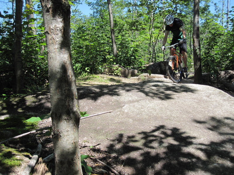 Smaller rockgarden fun.