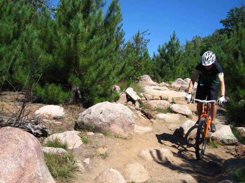 Rolling down the rockgarden.