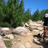 Rolling down the rockgarden.