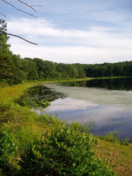 View of Deer Park Pond from Lake View Trail.