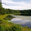 View of Deer Park Pond from Lake View Trail.