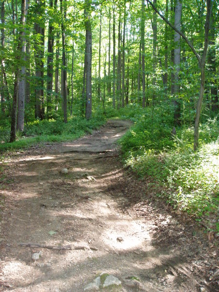 Coming up the Yellow Trail towards the Orange Trail