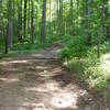 Coming up the Yellow Trail towards the Orange Trail