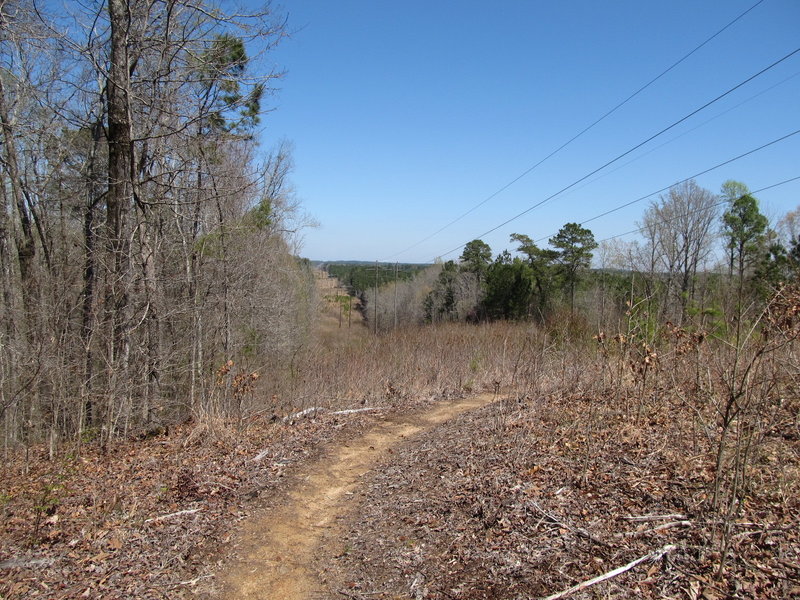 The Power Line Trail, turning back under the power lines before the downhill run into the woods