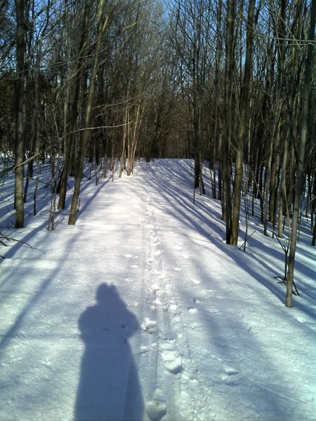 Snow on trails at Gannett Hill March 31, 2014.  Still a few weeks until the trials are ready for biking.