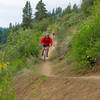 Patterson Lake Trail