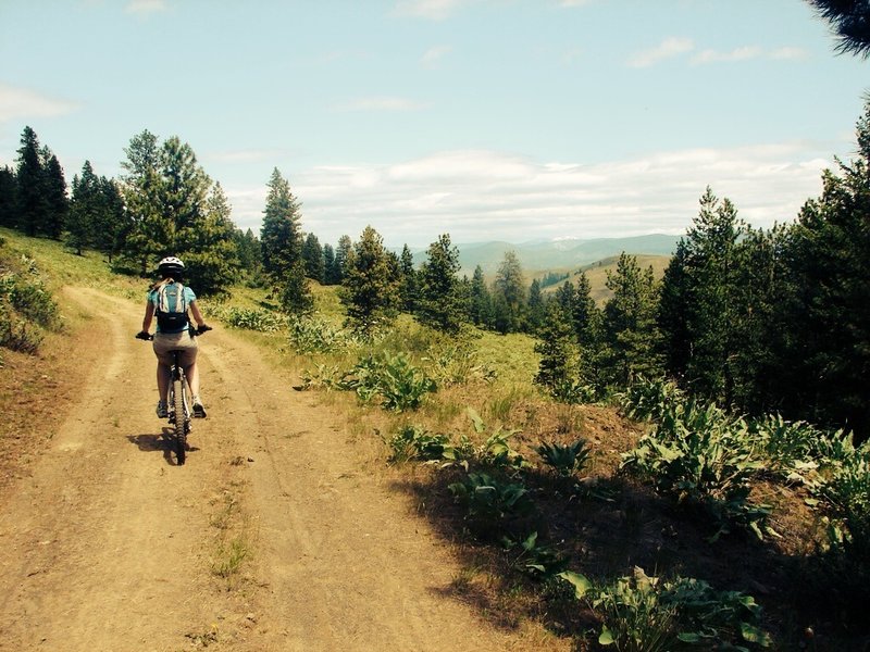 Meadowlark Trail - doubletrack