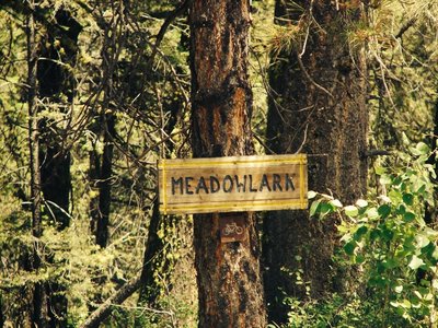 Meadowlark Trail Marker