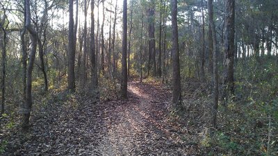 A view towards the east