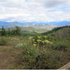 View from Blue Jay Trail