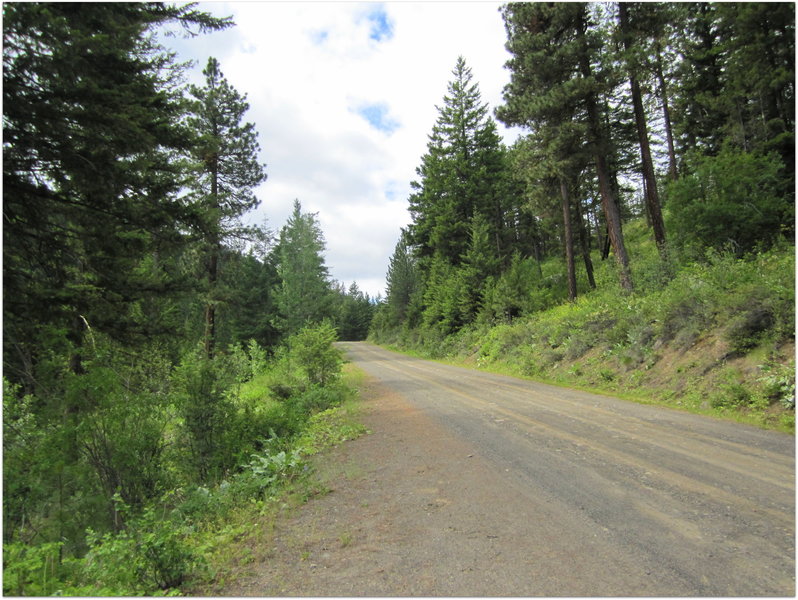 Thompson Road (NF-4410)