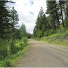 Thompson Road (NF-4410)