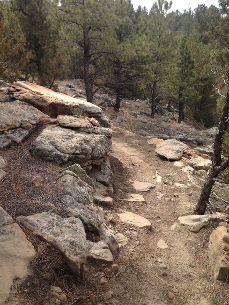 Two Moon headed south