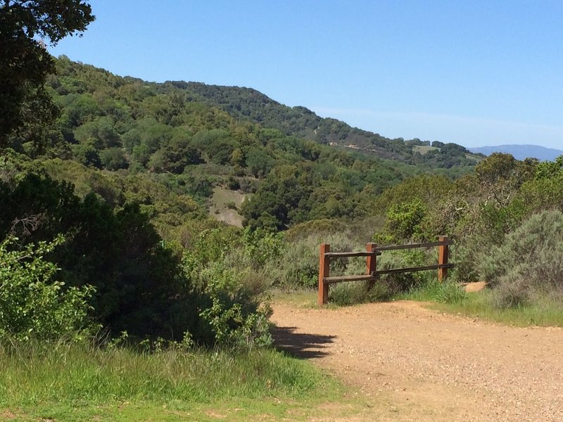 The view of the Randol Trail from the picnic table at Cape Horn Pass.