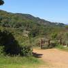 The view of the Randol Trail from the picnic table at Cape Horn Pass.