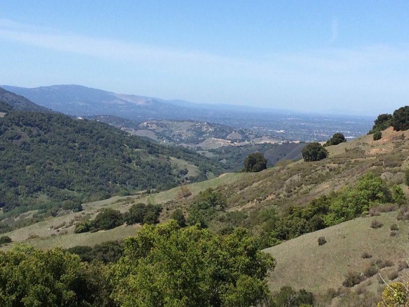 Looking NW toward the hills of San Francisco in the far distance.  Castellero Trail.