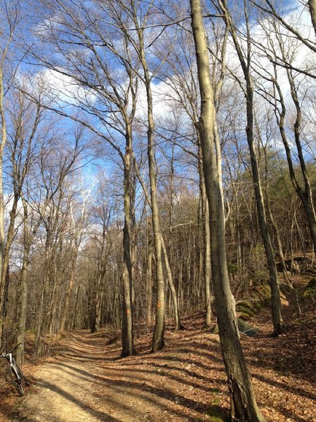 The quarry above this spot was once mined for earth/rock that was used for Crayola's Burnt Sienna crayon.