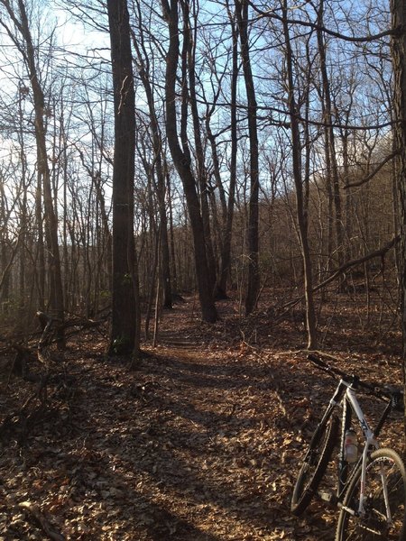 White Trail SingleTrack.