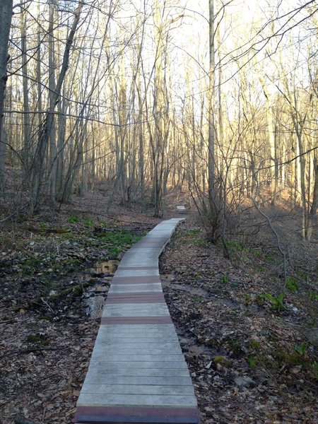 Boardwalks going toward the Upper Glen trail