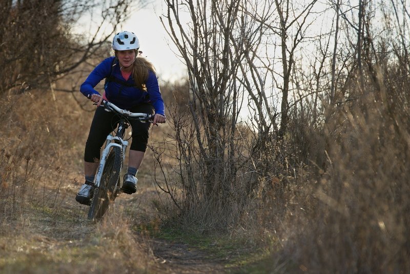 Flying through the grass and scrub.