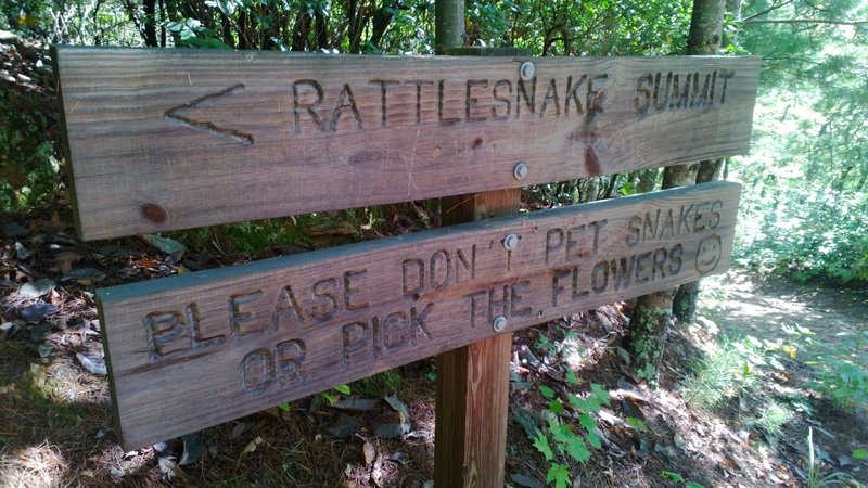 No snake petting.