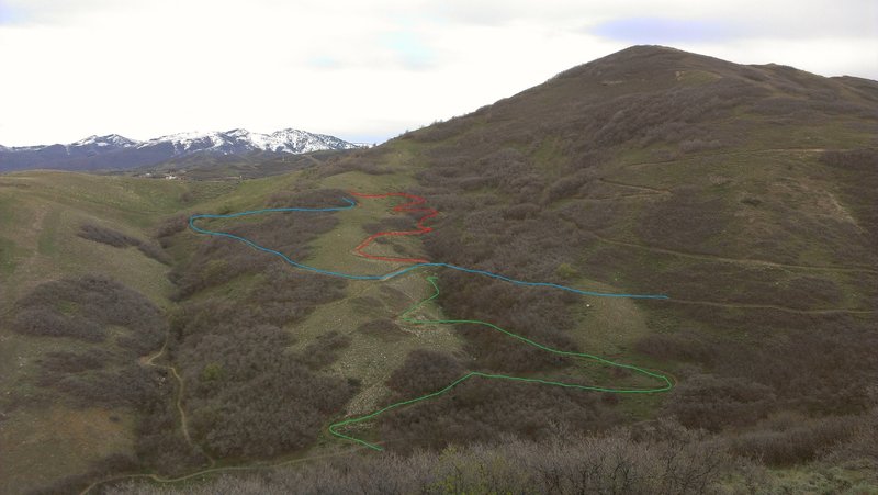 Blue: wild rose loop
<br>
Red: Wild rose upper D.H.-1
<br>
Green: Wild rose upper D.H. -2 (there are some more tuns in there that are hidden by trees)