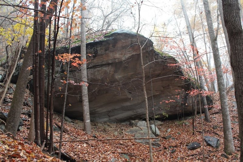 Boulder field