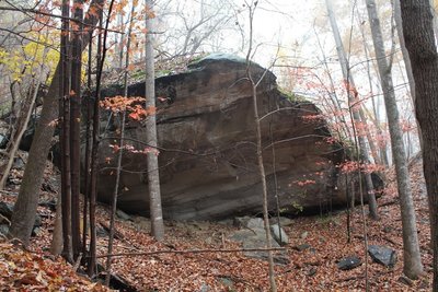 Boulder field