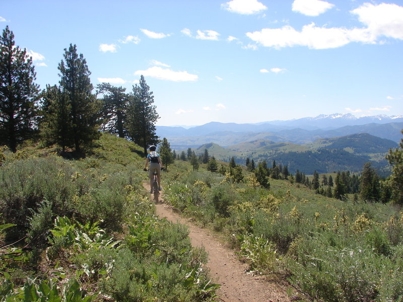 Buck Mountain Trail