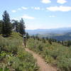 Buck Mountain Trail
