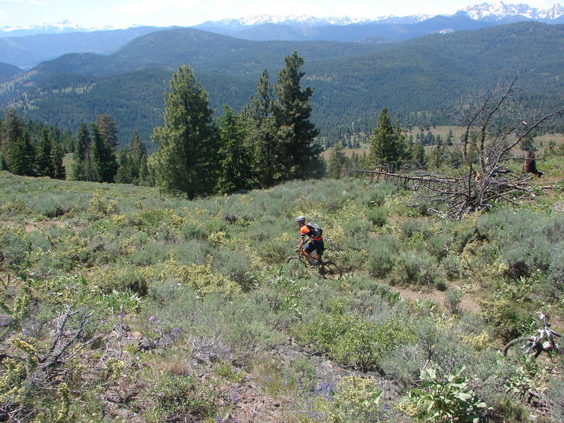 Buck Mountain Trail