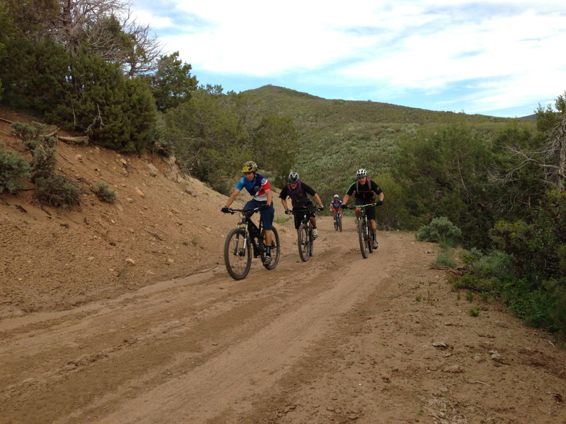 The Aloha Gang climbing the dirt road.