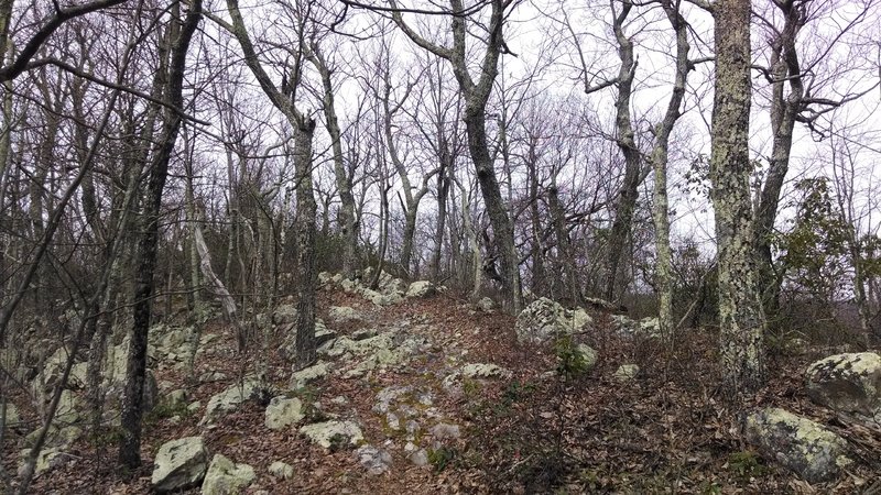 Torry Ridge Rock Garden