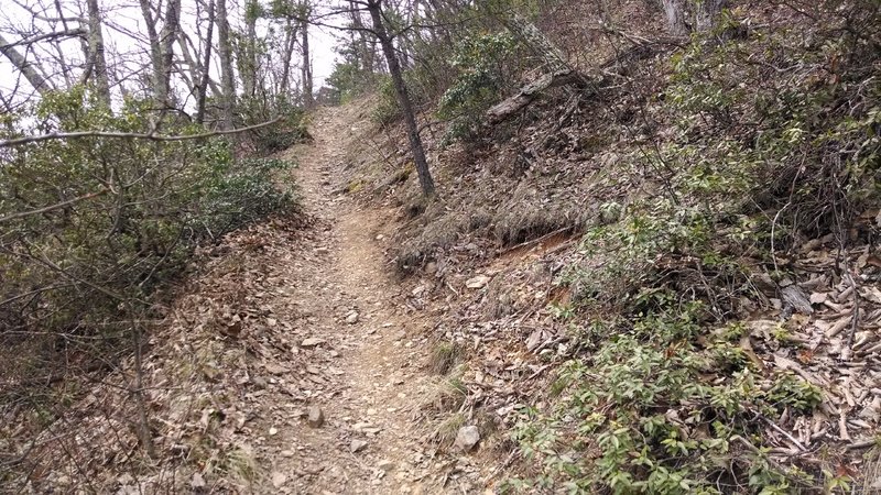 Heading up the switchbacks.