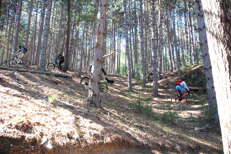 Riders desending Twistted Pine switchbacks.  Wilmington Wild Forest Beaver Brook Tract, Hardy Road, Wilmington, NY