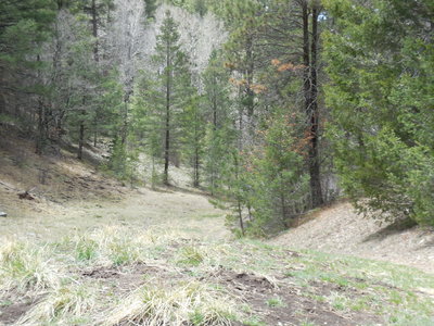 Ready for some very nice down hill. Little muddy but its OKAY!!