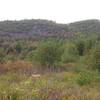 View of Wetland Complex and cliff face.  Good Luck and Safe Bet traverse below the cliff face.  Great bird watching spot!