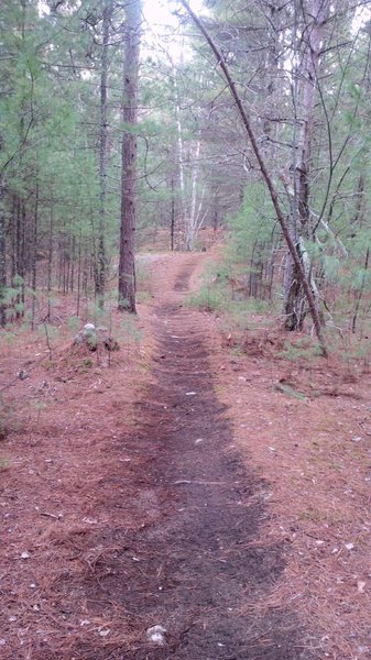 Make Believe winds through a Pine forest and meanders over old stone walls.  Real good warm up.