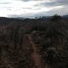 The top and tame portion of the Plunge.  Further down the trail there are two very steep descents.  Be aware!