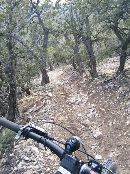 Steep arroyo in middle section of Rabbit Run