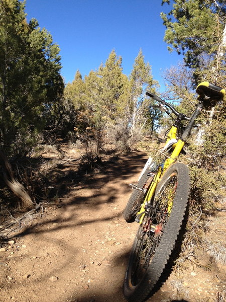 Just short of the Outie/Buckhorn junction on the one tough climb on Outie.  If you can make this climb you're part of a elite group.