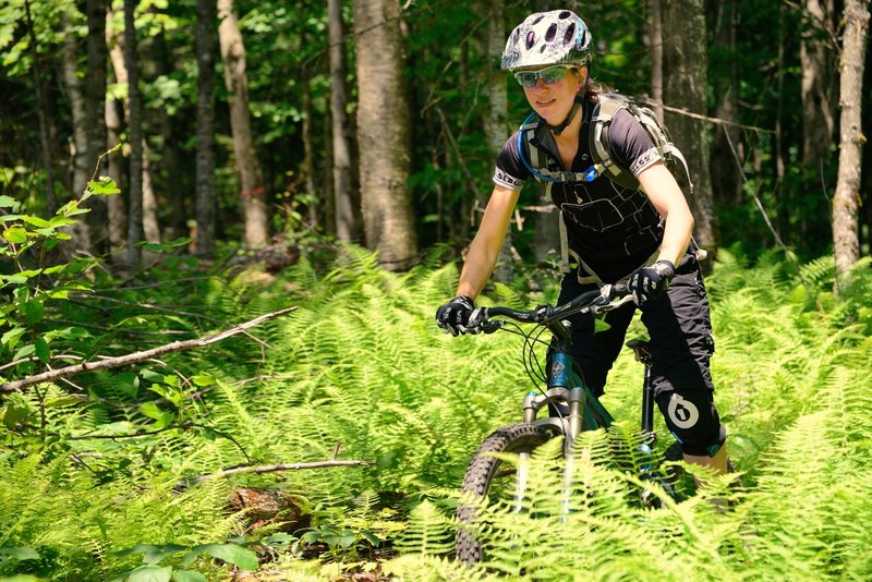 Isabelle through the ferns in the last part of the bobine trail.