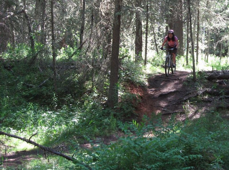 Mid-July afternoon ride on the Jumpingpound Loop.