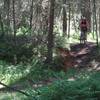 Mid-July afternoon ride on the Jumpingpound Loop.